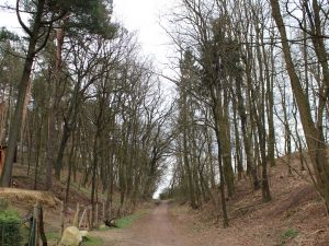 Die Nudersdorfer Schlucht