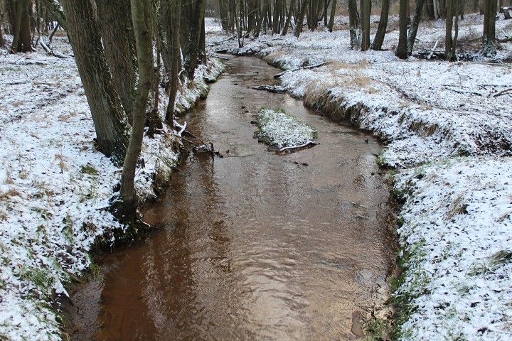 Rischebach im Birkenbusch bei Nudersdorf