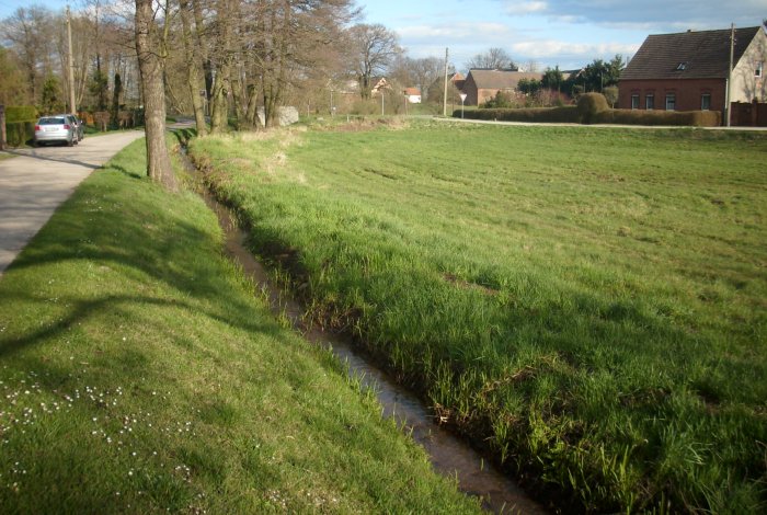 Der Kr&auml;hebach in Thie&szlig;en bei Wittenberg